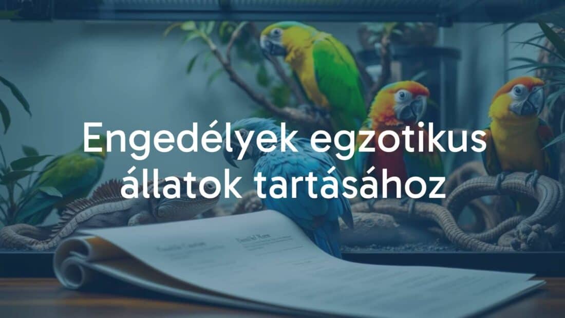 Exotic animals like parrots and reptiles in a home terrarium, with a legal document in the foreground, realistic.