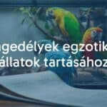 Exotic animals like parrots and reptiles in a home terrarium, with a legal document in the foreground, realistic.