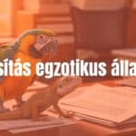 Exotic pet insurance concept, a colorful parrot and a lizard on a desk with insurance documents, warm lighting, realistic.