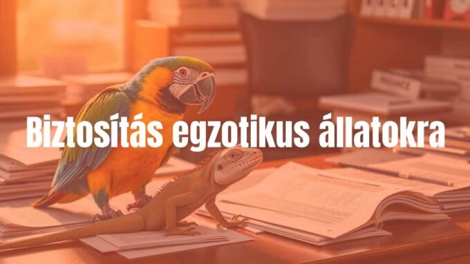 Exotic pet insurance concept, a colorful parrot and a lizard on a desk with insurance documents, warm lighting, realistic.