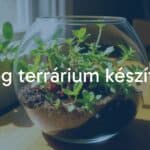A small glass terrarium with lush green plants, placed on a wooden table, natural sunlight filtering through, cozy and serene atmosphere, realistic.