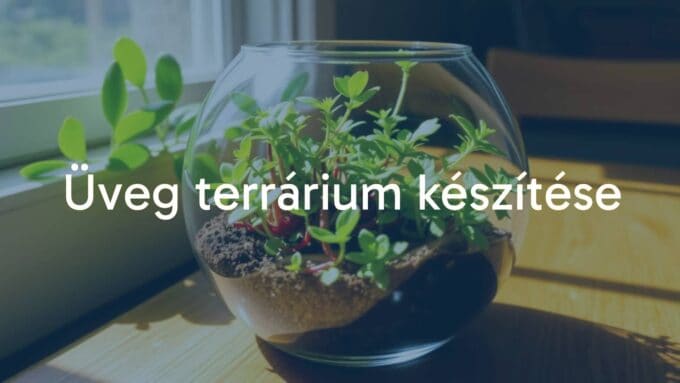 A small glass terrarium with lush green plants, placed on a wooden table, natural sunlight filtering through, cozy and serene atmosphere, realistic.