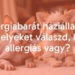 Hypoallergenic pets, including a hairless cat and a small dog, cozy home setting, soft lighting, realistic.