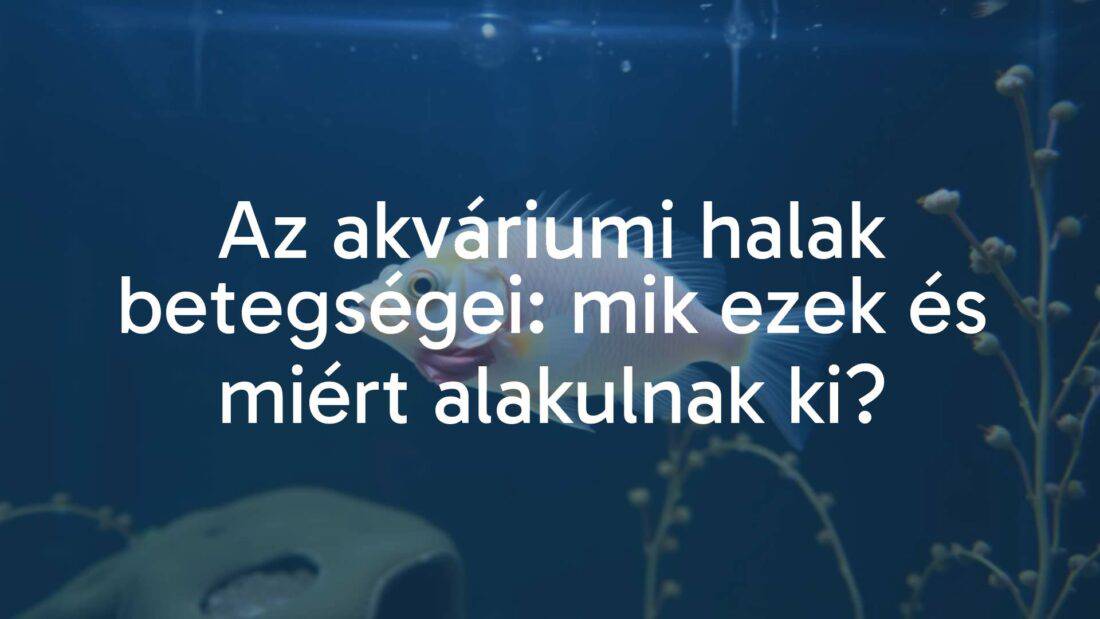 Sick fish in aquarium, visible symptoms, stressed environment, realistic.