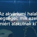 Sick fish in aquarium, visible symptoms, stressed environment, realistic.