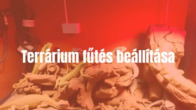 A terrarium with reptiles and amphibians, heating elements visible, warm lighting, realistic.