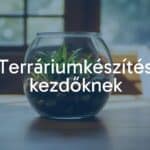 A small glass terrarium with green plants, layered soil, and decorative stones, placed on a wooden table near a window, soft natural lighting, cozy and inviting atmosphere, realistic.