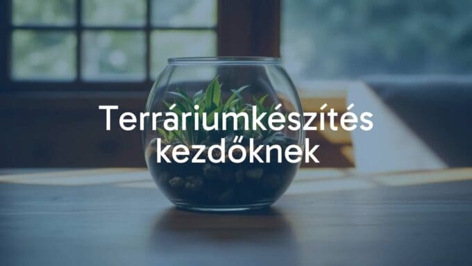 A small glass terrarium with green plants, layered soil, and decorative stones, placed on a wooden table near a window, soft natural lighting, cozy and inviting atmosphere, realistic.