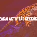 Freshwater crayfish in an aquarium, vibrant colors, detailed shells, natural habitat with rocks and plants, clear water, realistic lighting, peaceful atmosphere.