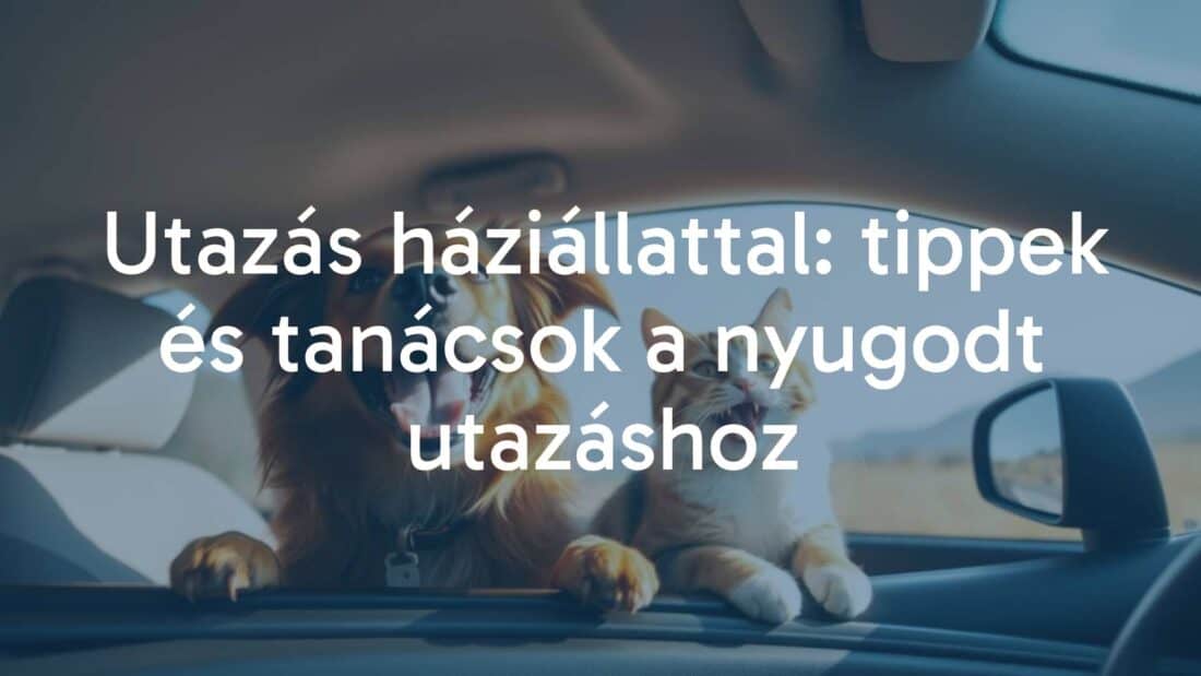 A happy dog playing with homemade DIY toys, colorful and creative, cheerful atmosphere, playful and engaging.