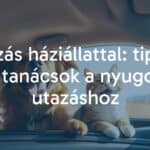 Happy dog and cat in a car, looking out the window, scenic road trip, sunlight, cheerful atmosphere, realistic.