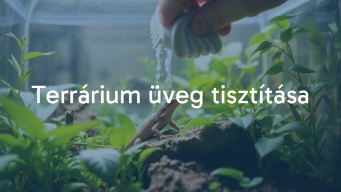A glass terrarium being cleaned, with a hand wiping the interior, surrounded by lush green plants and a small reptile looking on, natural lighting, realistic.