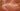 A snake hunting in the wild, intense focus, realistic style, natural habitat, muted green and brown colors.