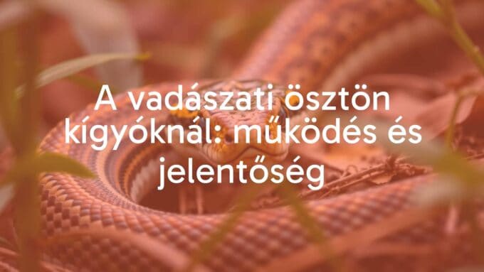 A snake hunting in the wild, intense focus, realistic style, natural habitat, muted green and brown colors.