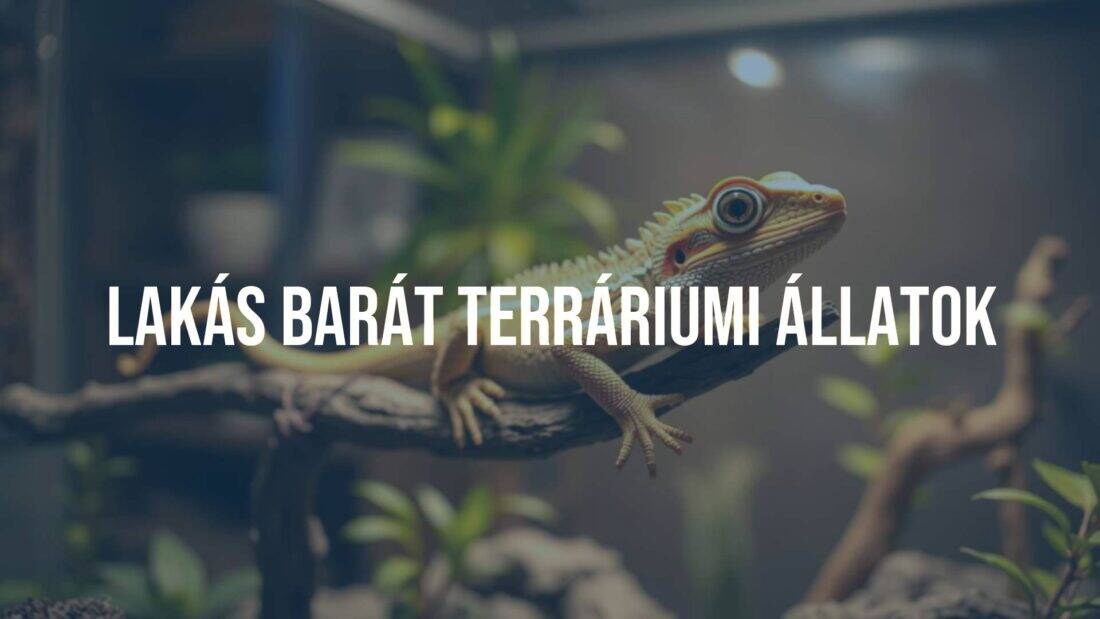 A friendly terrarium lizard on a branch, cozy home setting, warm lighting, realistic.
