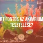 An aquarium with colorful fish, a water testing kit nearby, clear water, vibrant aquatic plants, realistic.