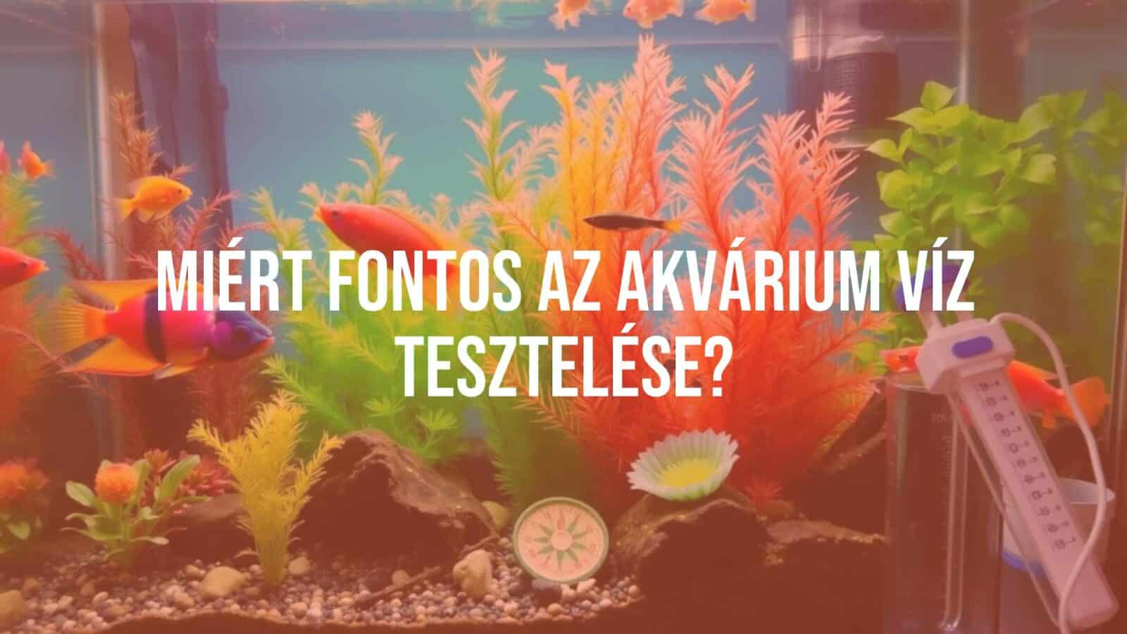 An aquarium with colorful fish, a water testing kit nearby, clear water, vibrant aquatic plants, realistic.