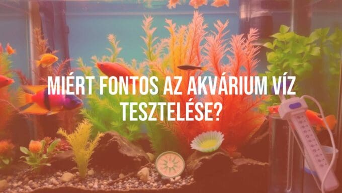 An aquarium with colorful fish, a water testing kit nearby, clear water, vibrant aquatic plants, realistic.