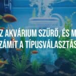 A modern aquarium filter in a clean freshwater tank, surrounded by healthy fish and aquatic plants, clear water, realistic lighting, detailed