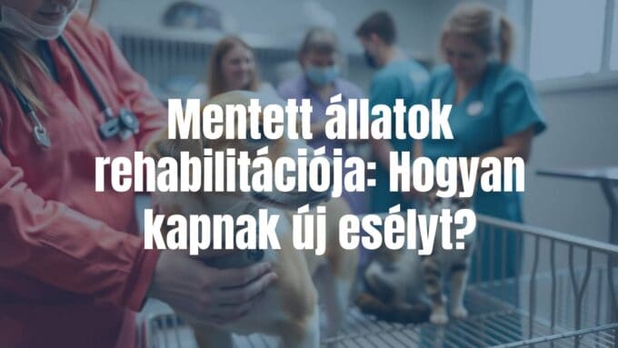 A rescued dog and cat receiving care in a rehabilitation center, surrounded by compassionate veterinarians and volunteers, warm and hopeful atmosphere, realistic.