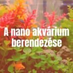 A small, beautifully arranged nano aquarium with vibrant aquatic plants, tiny fish, and decorative elements, realistic.