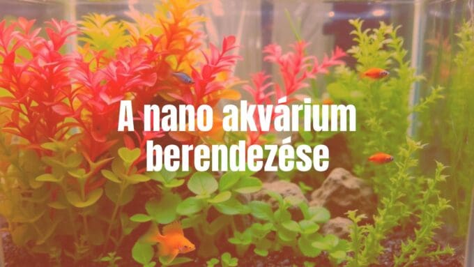A small, beautifully arranged nano aquarium with vibrant aquatic plants, tiny fish, and decorative elements, realistic.