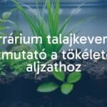 A lush terrarium with layered soil mixture, vibrant green plants, and a small reptile, natural lighting, realistic.