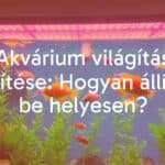 A colorful aquarium with LED lighting, daytime setting, healthy fish and plants, realistic aquatic environment.