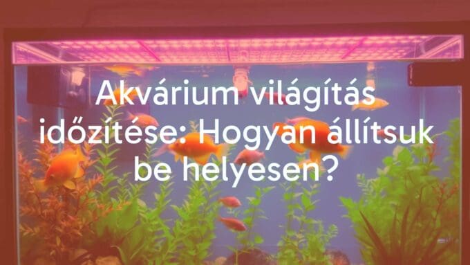 A colorful aquarium with LED lighting, daytime setting, healthy fish and plants, realistic aquatic environment.