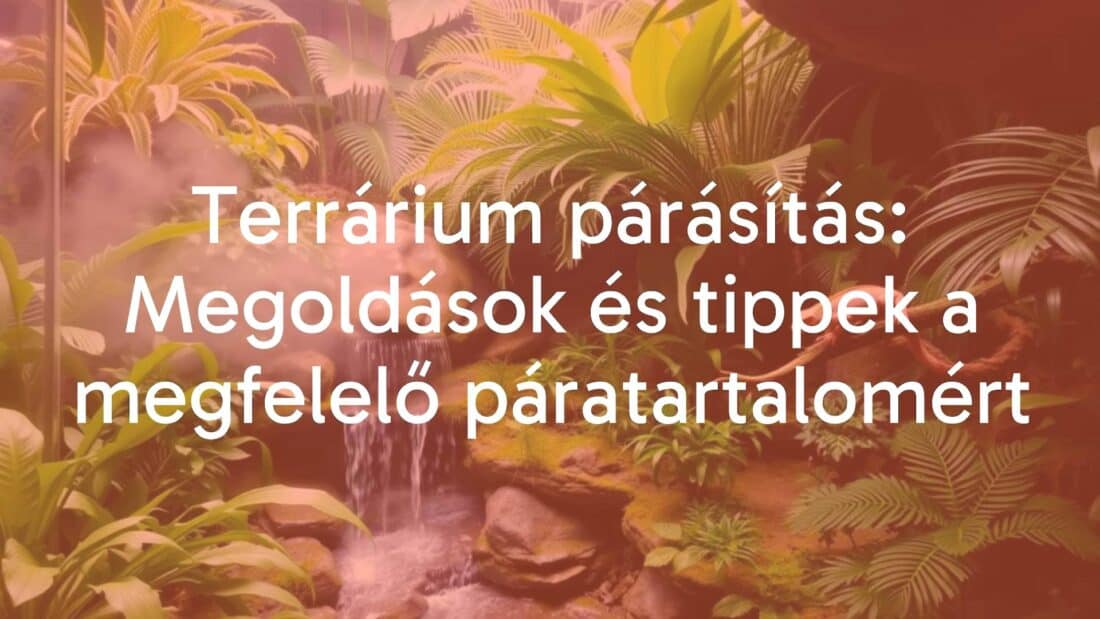 A tropical terrarium with lush greenery, a small waterfall, and misty air, featuring a gecko on a branch, warm and humid atmosphere, realistic.