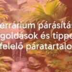 A tropical terrarium with lush greenery, a small waterfall, and misty air, featuring a gecko on a branch, warm and humid atmosphere, realistic.