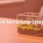 Mini glass terrarium with small plants, moss, and decorative stones, placed on a wooden table, soft natural lighting, realistic.