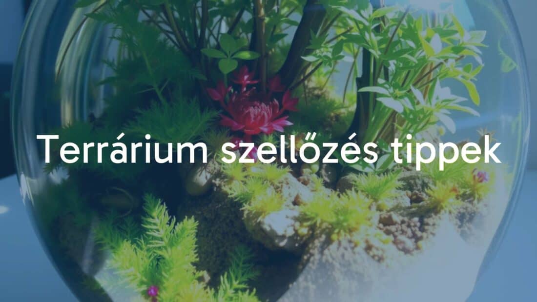 A well-ventilated terrarium with lush plants and small animals, natural light, realistic.
