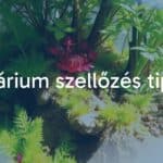 A well-ventilated terrarium with lush plants and small animals, natural light, realistic.