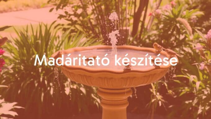 A colorful birdbath in a garden, surrounded by small birds drinking and bathing, sunny day, natural setting, realistic.