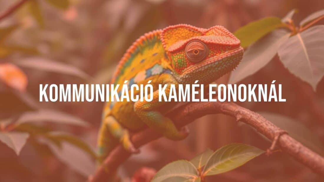 A chameleon changing colors on a branch, vibrant hues, detailed scales, expressive eyes, jungle background, realistic.