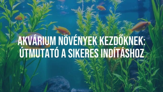 A vibrant freshwater aquarium with lush green aquatic plants, colorful fish swimming among them, natural lighting, peaceful underwater scene, realistic.