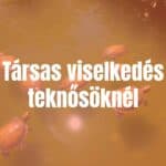 Group of river turtles interacting in clear water, natural sunlight, lush green surroundings, realistic.