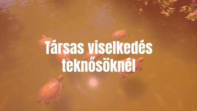 Group of river turtles interacting in clear water, natural sunlight, lush green surroundings, realistic.