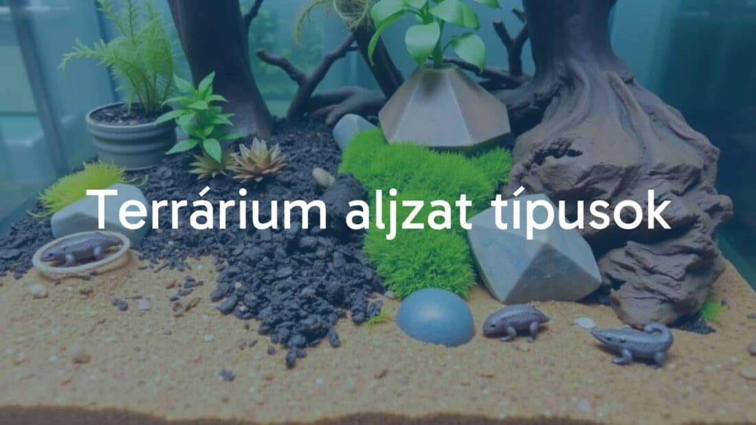 A terrarium with various substrate types, including soil, sand, and moss, showcasing a natural habitat for small animals, realistic.