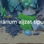 A terrarium with various substrate types, including soil, sand, and moss, showcasing a natural habitat for small animals, realistic.