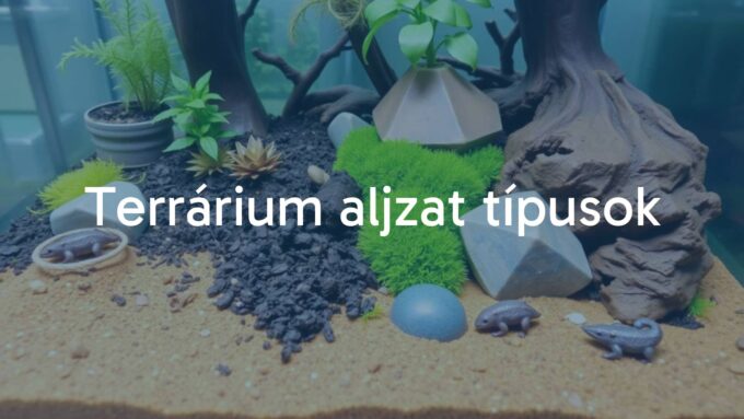 A terrarium with various substrate types, including soil, sand, and moss, showcasing a natural habitat for small animals, realistic.