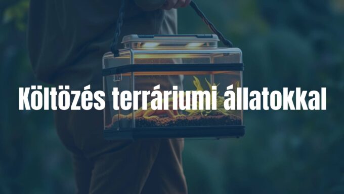 A reptile or amphibian in a terrarium being carefully transported, showing a person handling the terrarium with care, warm lighting, realistic.