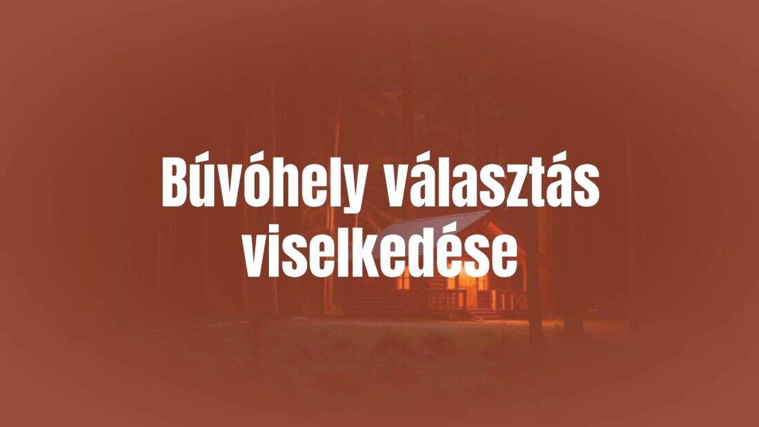 A cozy, secluded cabin in the woods, soft warm lighting, peaceful atmosphere, surrounded by nature, realistic.