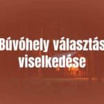 A cozy, secluded cabin in the woods, soft warm lighting, peaceful atmosphere, surrounded by nature, realistic.