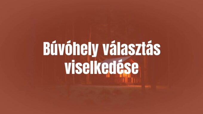 A cozy, secluded cabin in the woods, soft warm lighting, peaceful atmosphere, surrounded by nature, realistic.