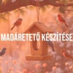 A handcrafted wooden bird feeder hanging from a tree branch, surrounded by colorful birds, cozy winter garden, warm sunlight, illustrative style.