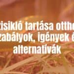 A grass snake (Natrix natrix) in its natural habitat, green and yellow scales, near a pond, realistic.