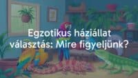 Exotic pet choices, colorful parrots and reptiles in a cozy home setting, vibrant and inviting atmosphere, illustrative style.