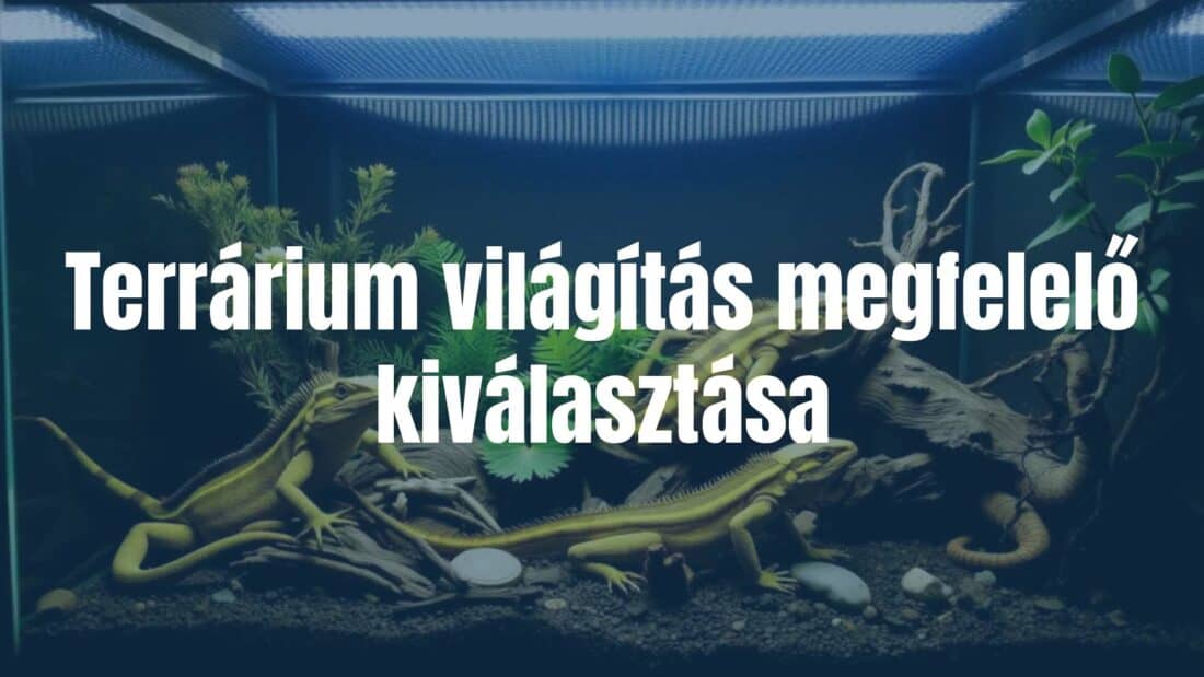 A terrarium with exotic reptiles under specialized lighting, warm glow, realistic.